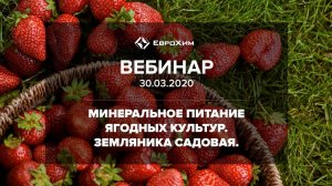 МИНЕРАЛЬНОЕ ПИТАНИЕ ЯГОДНЫХ КУЛЬТУР. ЗЕМЛЯНИКА САДОВАЯ.