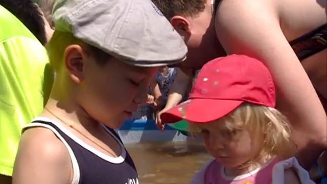 В Красноярске проходит фестиваль "Зелкный" смотреть онлайн