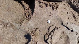 Ловля сибаса  осенью на уникальной косе в Дельта Эбро. Между двумя морями.