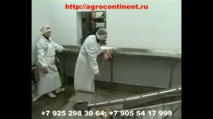 Очистка кишок на производстве мясокомбинатов