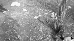 А нам нужна одна победа