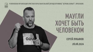 "Маугли хочет быть человеком" - Сергей Лукьянов - 28.08.2024