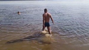 Часть 5. Сплав по Северной Двине Березник - Северодвинск 08.2022