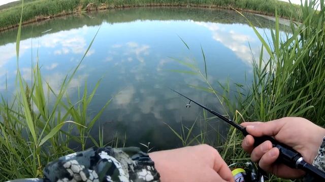 Рыбалка на реке. Егорлык "Подкова" Ставропольский край. Окунь, Щучка и Коты Матроскины.Крутая дорог смотреть онлайн