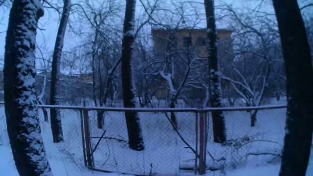 Немножко сумерек, о школах, размышлялки вслух.