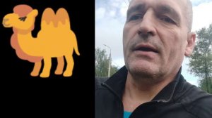 🆘 ПОТОМ ДОКАЗЫВАЙ, ЧТО ТЫ НЕ ВЕРБЛЮД ‼️