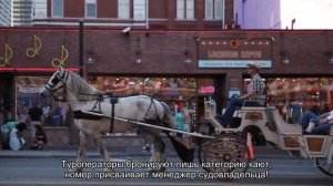 О круизах на теплоходе Герцен: расписание туров по Волге, маршруты