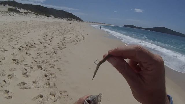 Beach fishing - with beach worms & soft plastic worms смотреть онлайн