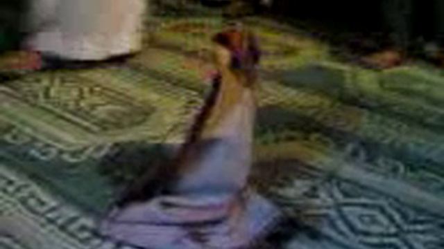 26 октября 2015 г. смотреть онлайн