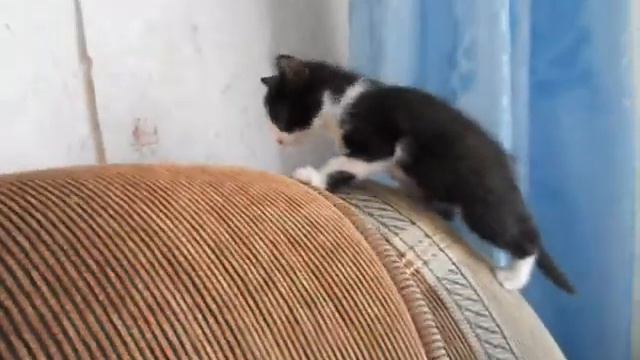 родя- а я маленькая дрянь.wmv смотреть онлайн