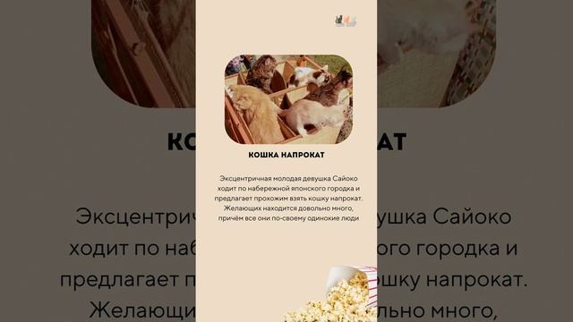 Что посмотреть любителям кошек на выходных. Ловите несколько идей с классными фильмами!