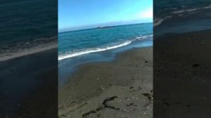 Горбуша идет на нерест.