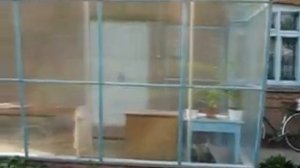 Веранда из сотового1.avi