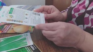 Какой лук посадить на огороде, обзор
