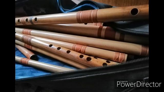 Bas ek bar||Flute Cover||Gaurab Gautam|| смотреть онлайн