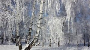Валерий Лаур - Маленькая родина