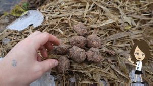 Новые секреты ловли карпа в марте!  Как ловить карпа в начале весны по холодной воде?