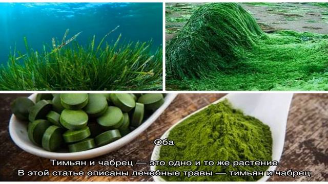 Здоровье смотреть онлайн