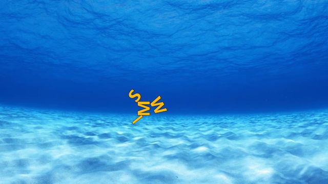 Verbs in Action  SWIM