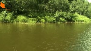 Рыбалка на реке Молома. Отпуск 2часть - KF №21