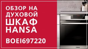 Обзор духового шкафа Hansa BOEI697220 X-type