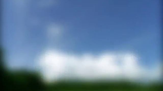 Гуси и утки на выставке водоплавающей птицы в Туле смотреть онлайн