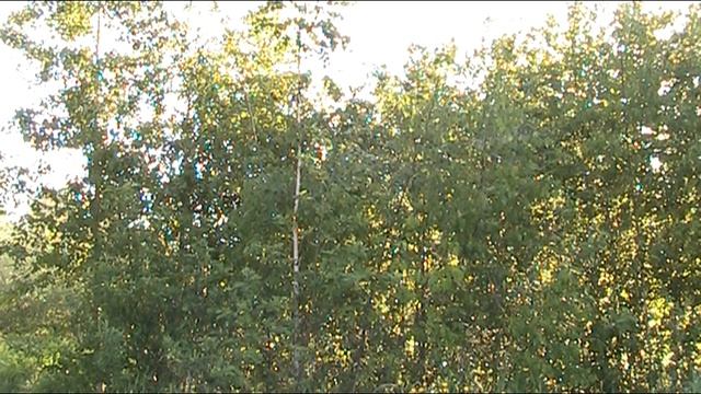 Кавалергарда век недолог. И. Шварц - Б. Окуджава. Пою я. смотреть онлайн