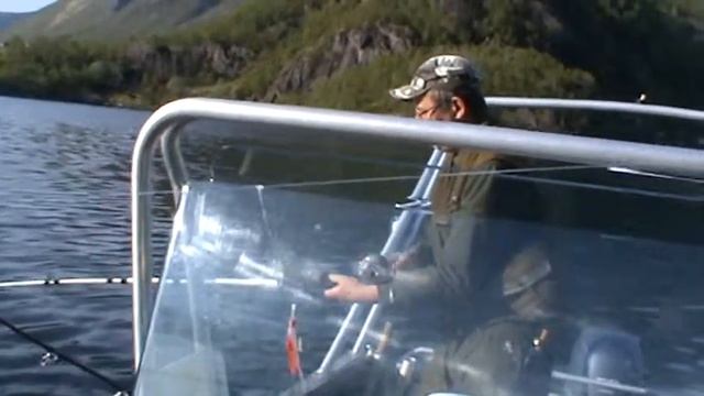 морская звезда смотреть онлайн