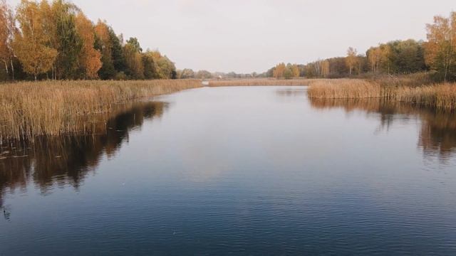 какую рыбу можно поймать в октябре. Какая рыба лучше всего ловится в октябре? смотреть онлайн