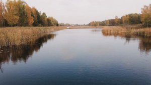 какую рыбу можно поймать в октябре. Какая рыба лучше всего ловится в октябре?