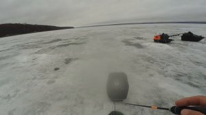 Закрытие зимнего сезона на Сурском водохранилище. Ловля судака со льда.