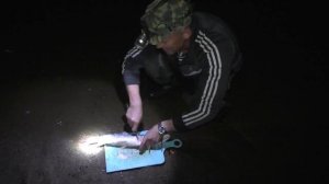 Ловля осенней щуки. Уссури