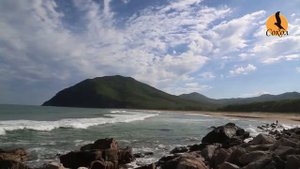 Зов Тачингоузы (бухта Проселочная). Приморский край