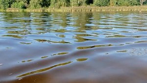 купаюсь в озере в десногорске
