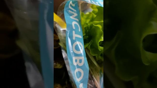 завтраки. завтрак со шпинатом. белковый завтрак. готовим завтрак. готовим еду. полезная еда. смотреть онлайн