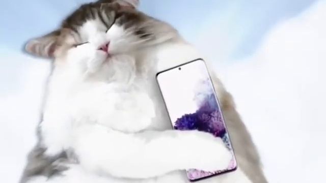 Выбирайте лучше чем iPhone Samsung Android у вас будет пульс херачить 380? смотреть онлайн