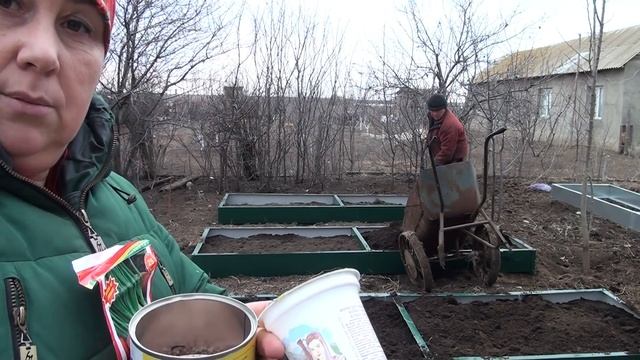Предлагаю саженцы малины, жимолость, землянику,