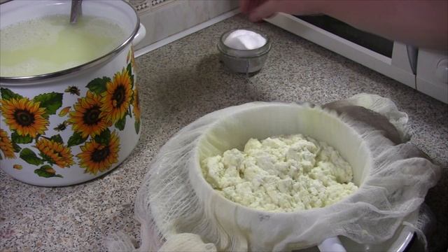 КАК СДЕЛАТЬ АДЫГЕЙСКИЙ СЫР ИЗ ДОМАШНЕГО МОЛОКА. РЕЦЕПТ ВКУСНОГО АДЫГЕЙСКОГО СЫРА В ДОМАШНИХ УСЛОВИЯ