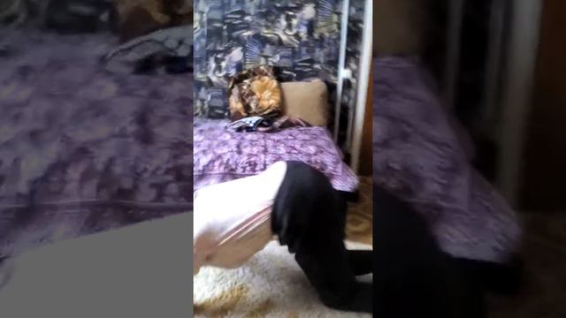 Результаты от применения Elev8 через 1 месяц и 9 дней. Это просто Чудо! смотреть онлайн