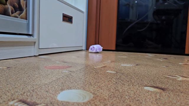 Zuru Pets Alive - Hamster Mania (Purple color; Фиолетовый цвет) смотреть онлайн