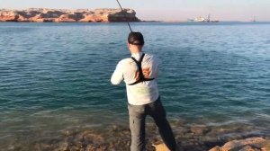 Гигантский Кинг Фиш в ОАЭ . Рыбалка в ОАЭ с берега