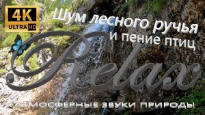 4K⚜️Лесной водопад, пение птиц| звуки воды шум ручья звуки горного ручья. горный ручей весна в лесу