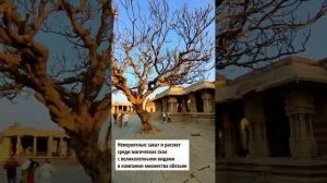 5 причин побывать в Хампи | древний город ЮНЕСКО в Индии