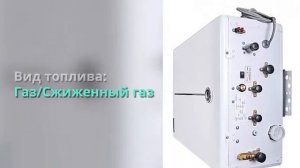 Газовый настенный двухконтурный котёл DAEWOO (дэу) MSC