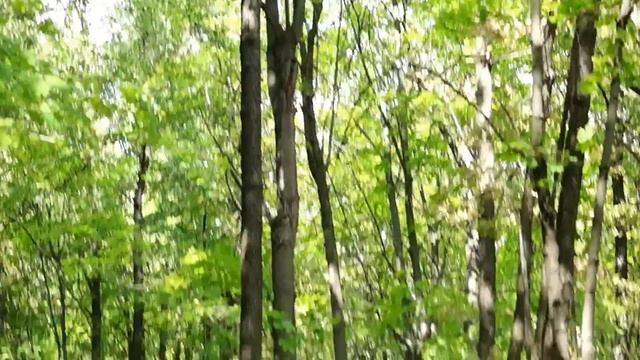 Прекрасный город И его окресности смотреть онлайн