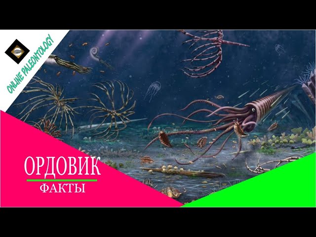 ОРДОВИК . ФАКТЫ