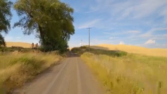 4K Palouse Scenic Byway - American Road Trip with Beautiful Music - Washington State, USA - Part #3 смотреть онлайн