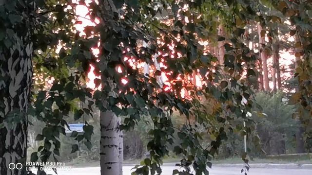 Асбест, 6 августа 2020г, закат смотреть онлайн