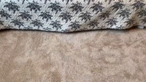 Монстр под кроватью или история о странном госте под кроватью у Ричи