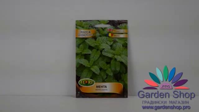 Семена на подправки за саксия - Мента Mentha piperita смотреть онлайн
